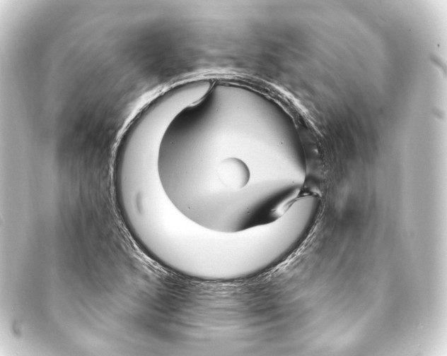 X0000093221168200710241211