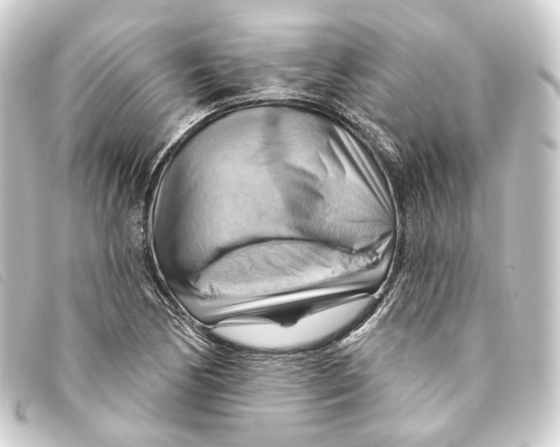 X0000093221170200710241211