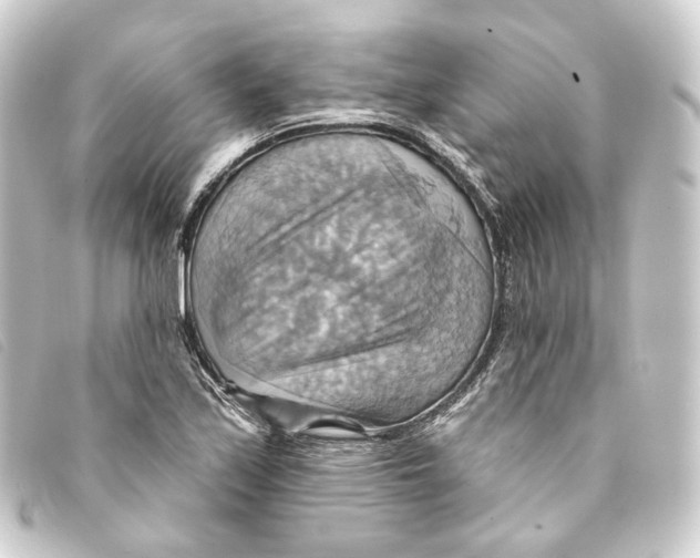 X0000093221171200710241211