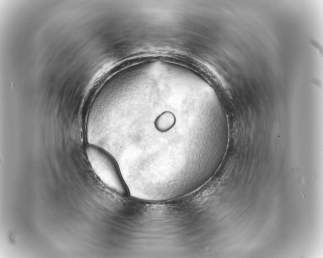 X0000093221172200710241211