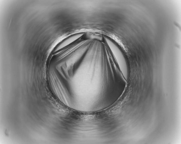 X0000093221173200710241211