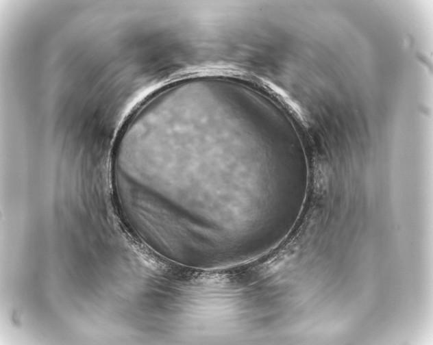 X0000093221174200710241211