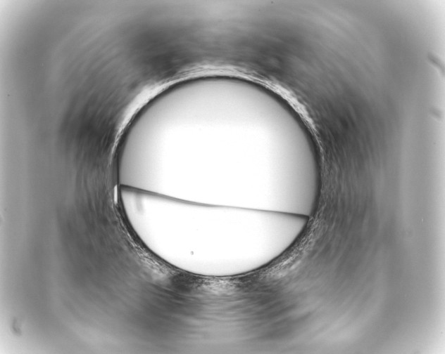 X0000093221175200710241211