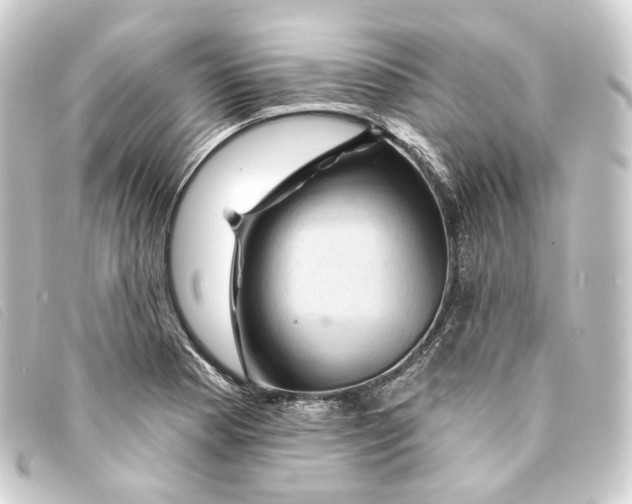 X0000093221177200710241211