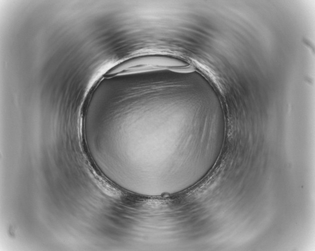 X0000093221179200710241211