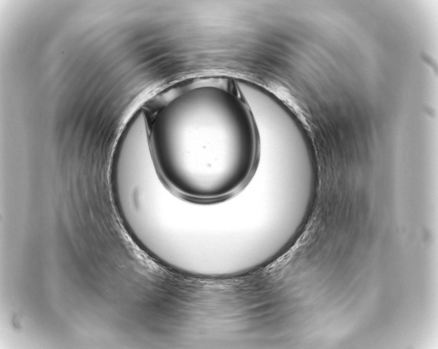 X0000093221181200710241211