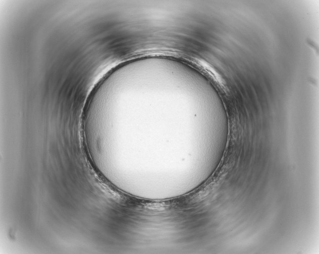 X0000093221182200710241211