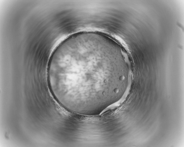 X0000093221183200710241211