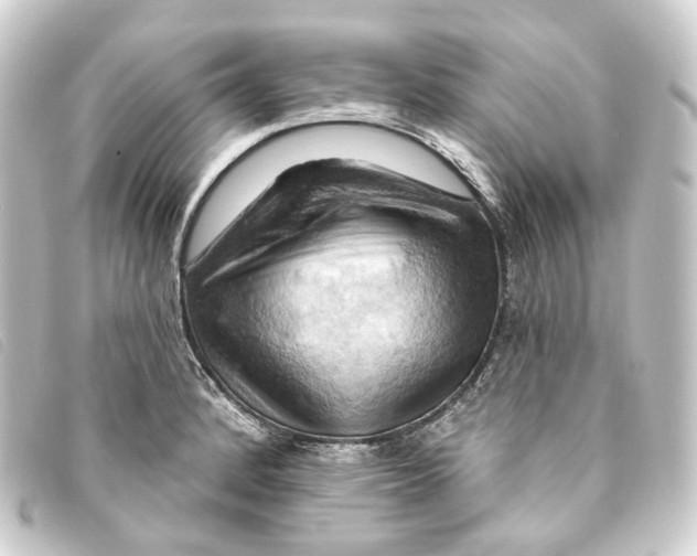 X0000093221184200710241211