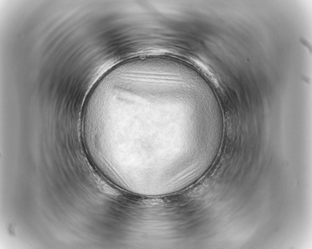 X0000093221186200710241211