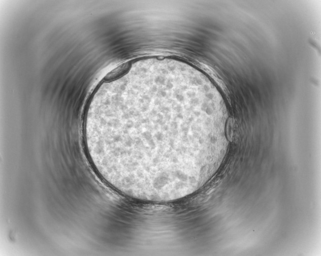 X0000093221187200710241211