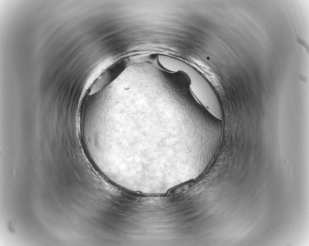 X0000093221188200710241211