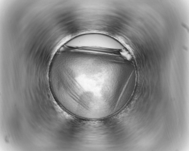 X0000093221189200710241211