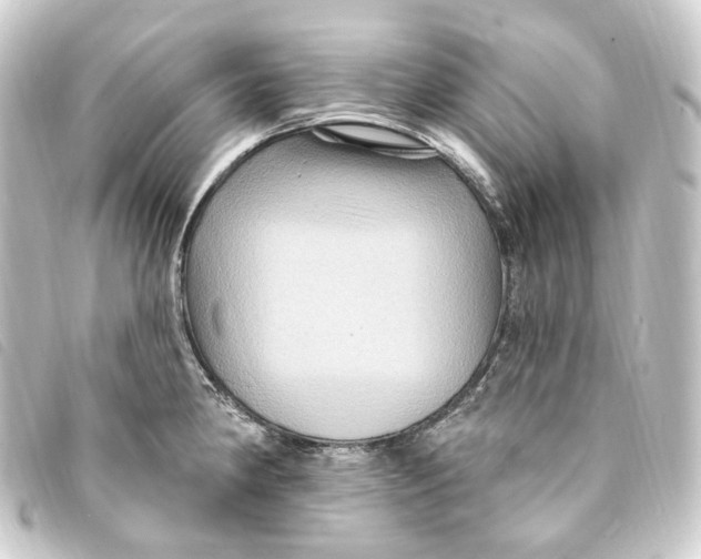 X0000093221190200710241211