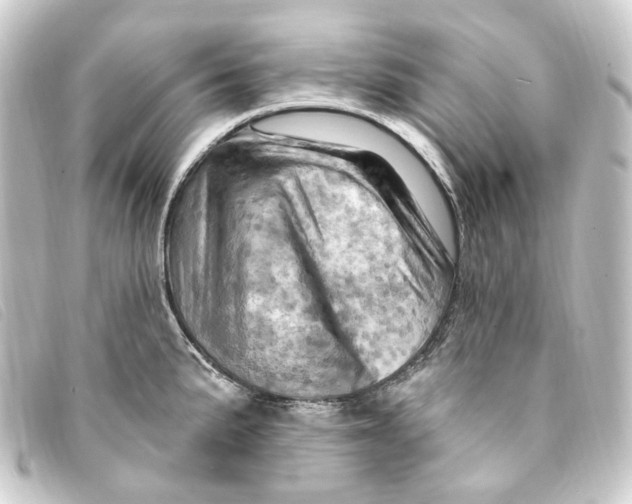 X0000093221191200710241211