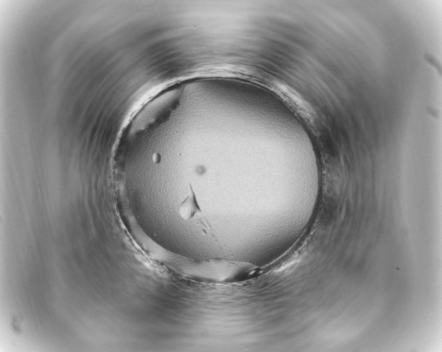 X0000093221192200710241211