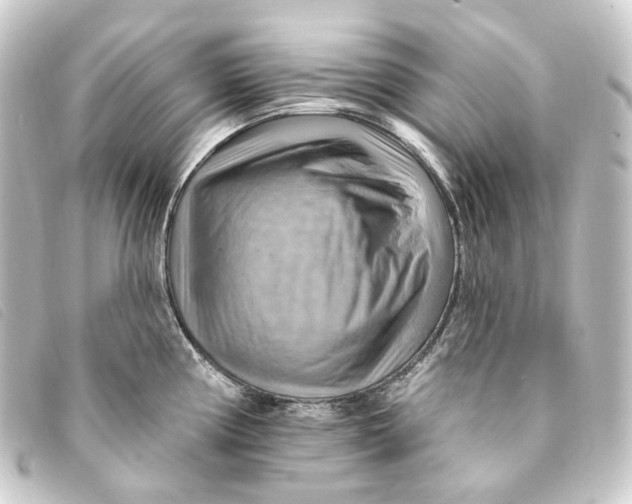 X0000093221194200710241211