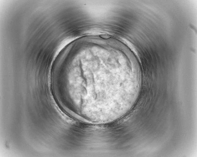 X0000093221195200710241211