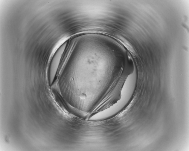 X0000093221196200710241211