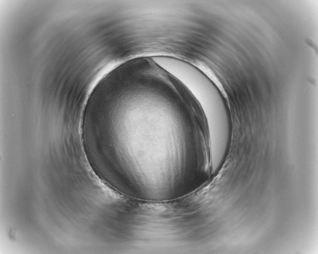 X0000093221197200710241211