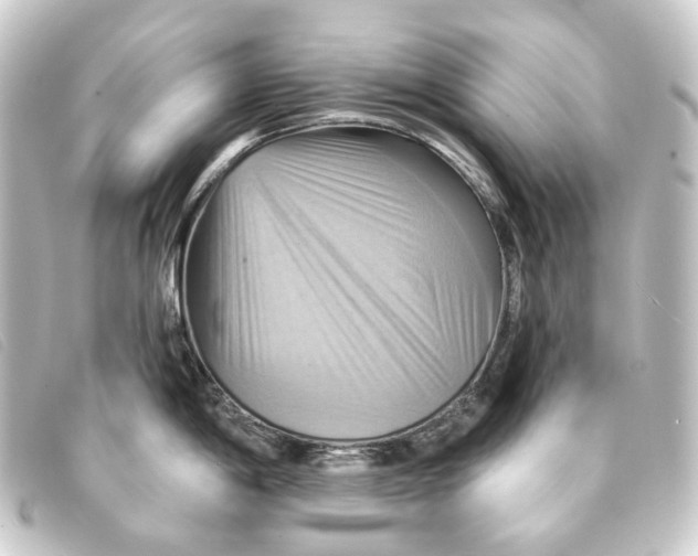 X0000093221198200710241211