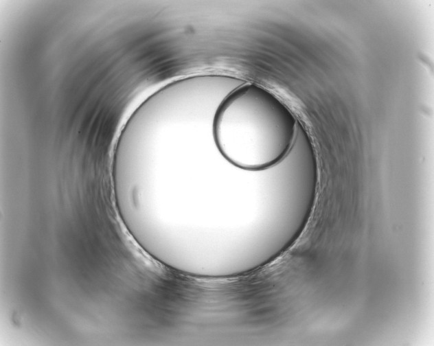 X0000093221200200710241211