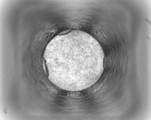 X0000093221201200710241210