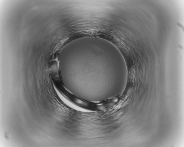 X0000093221202200710241210