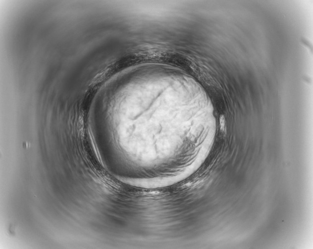 X0000093221203200710241210