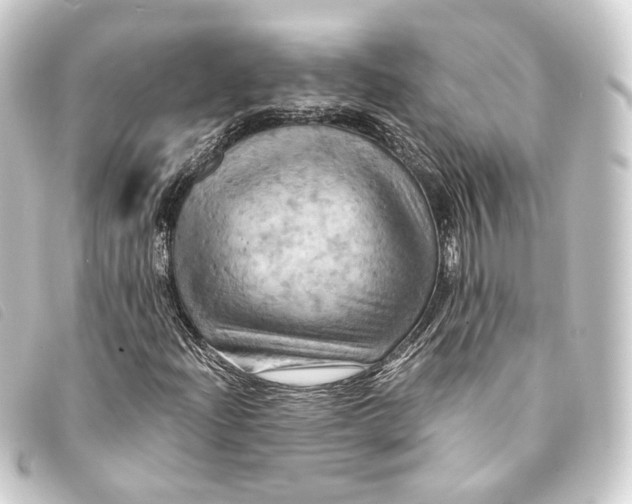 X0000093221204200710241210