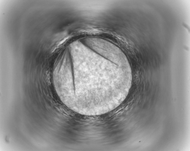 X0000093221205200710241210