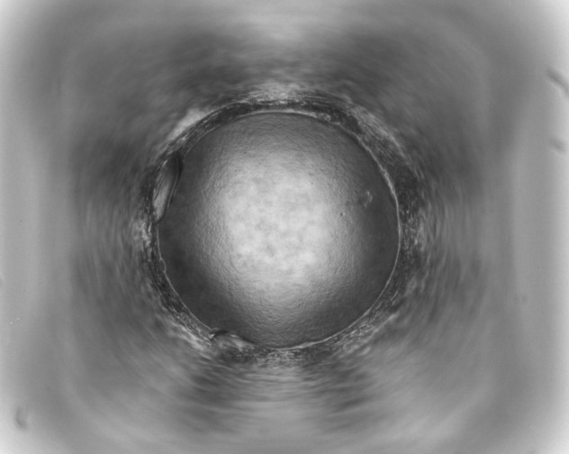 X0000093221206200710241210