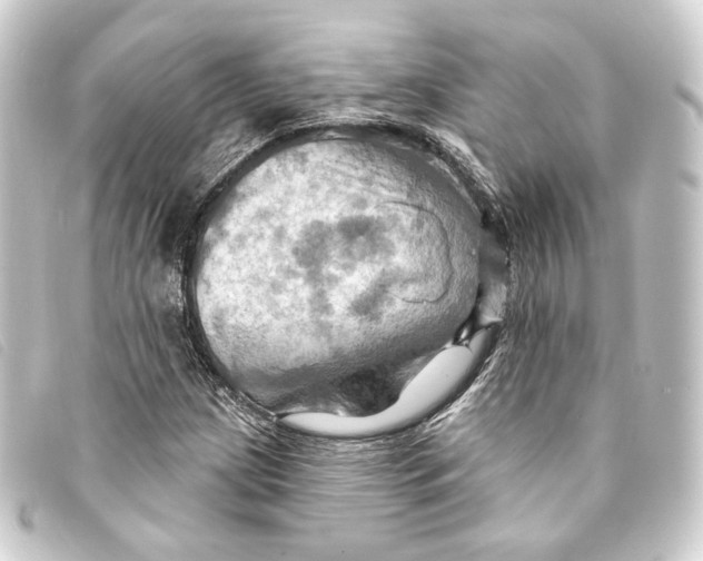 X0000093221209200710241210