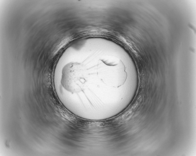 X0000093221211200710241210