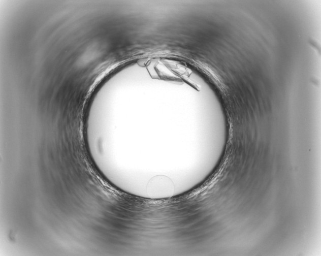 X0000093221212200710241210