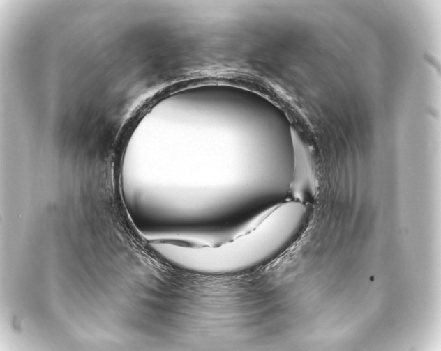 X0000093221214200710241210