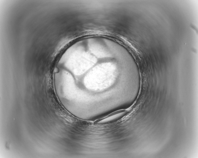 X0000093221215200710241210