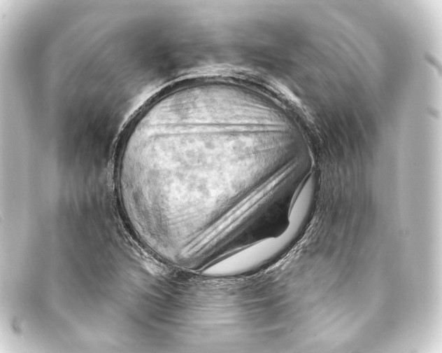 X0000093221216200710241210