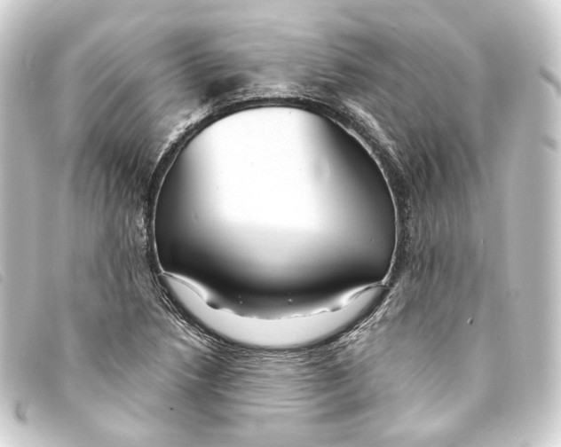 X0000093221218200710241210