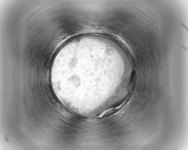 X0000093221220200710241210