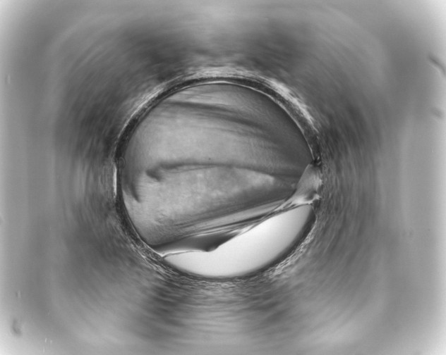 X0000093221221200710241210