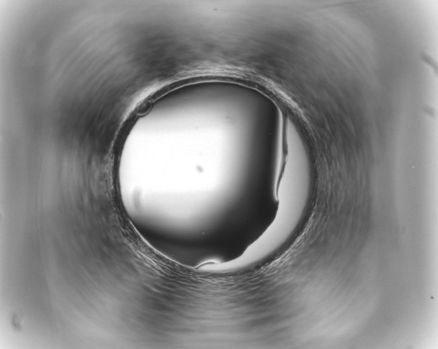 X0000093221222200710241210