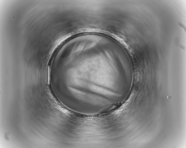 X0000093221223200710241210