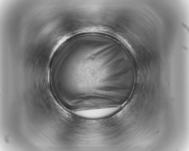 X0000093221224200710241210