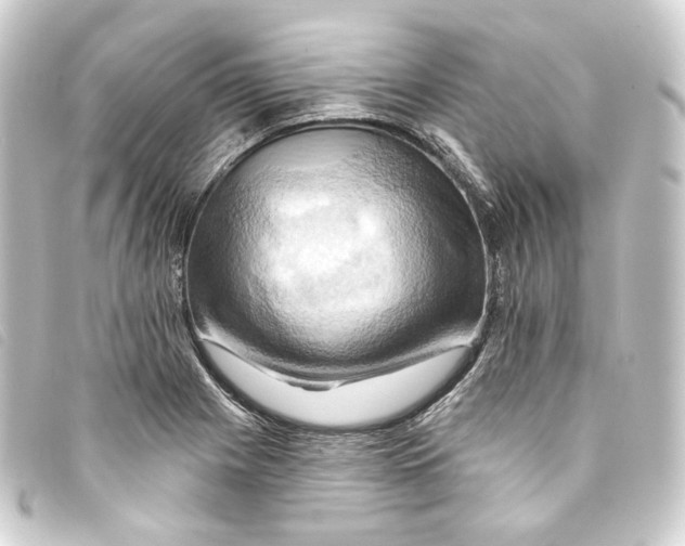 X0000093221225200710241210