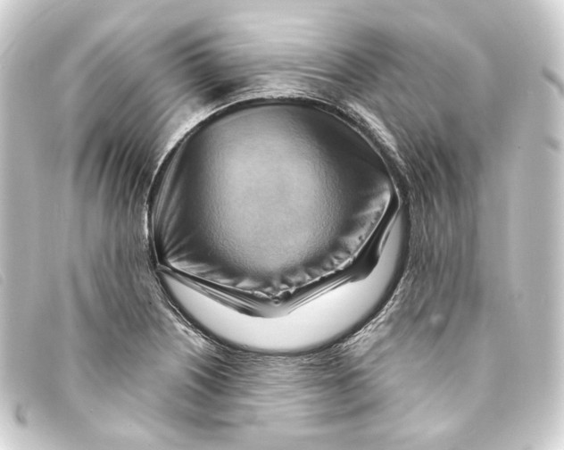 X0000093221226200710241210