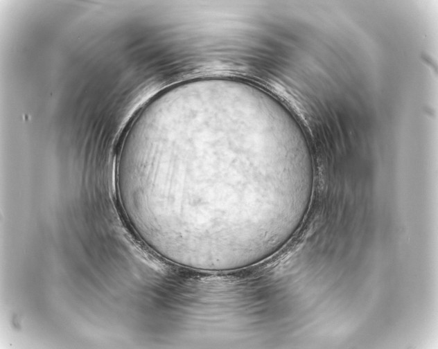 X0000093221227200710241210