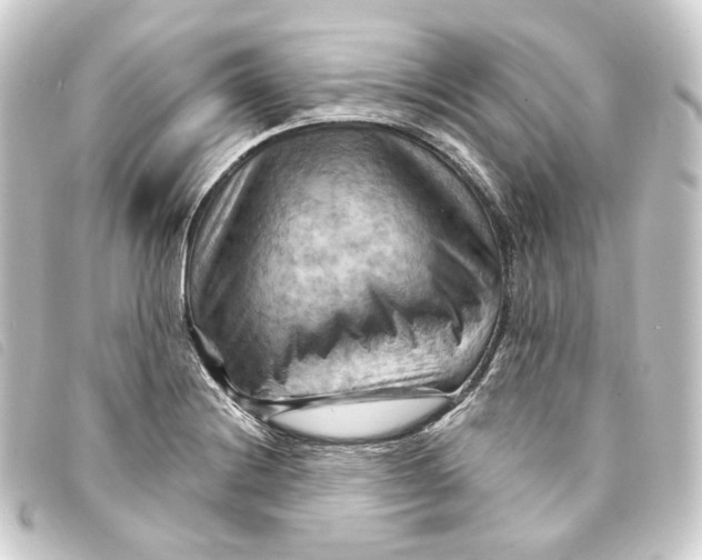 X0000093221228200710241210