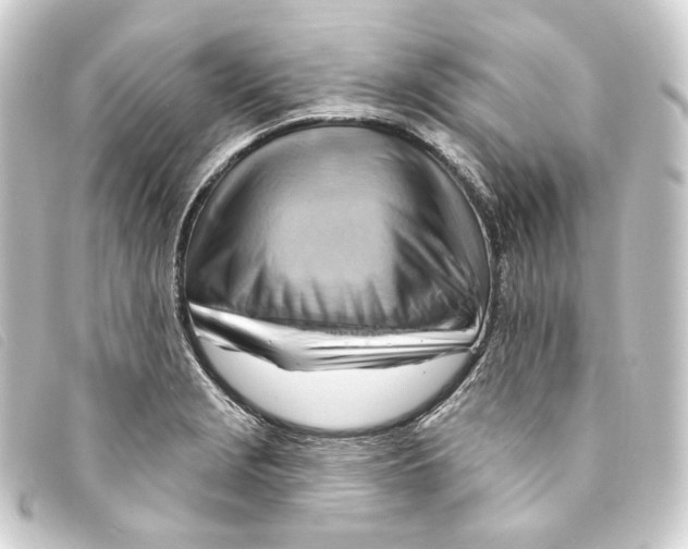 X0000093221229200710241210