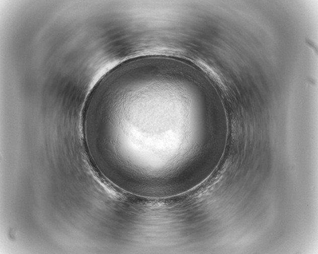 X0000093221230200710241210